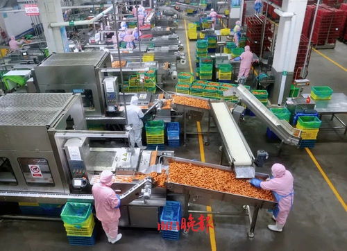 南昌 奔跑在春天的路上