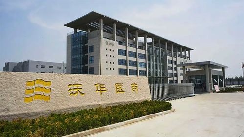 沃華醫(yī)藥2024年上半年繼續(xù)下跌,具體表現(xiàn)出了哪些問題