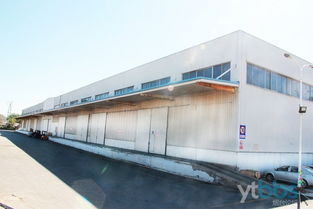 煙臺倉儲服務 經驗豐富物流專家，助力高效安全貨物存儲